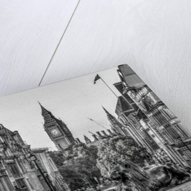 Trafalgar Square, London, UK by Assaf Frank